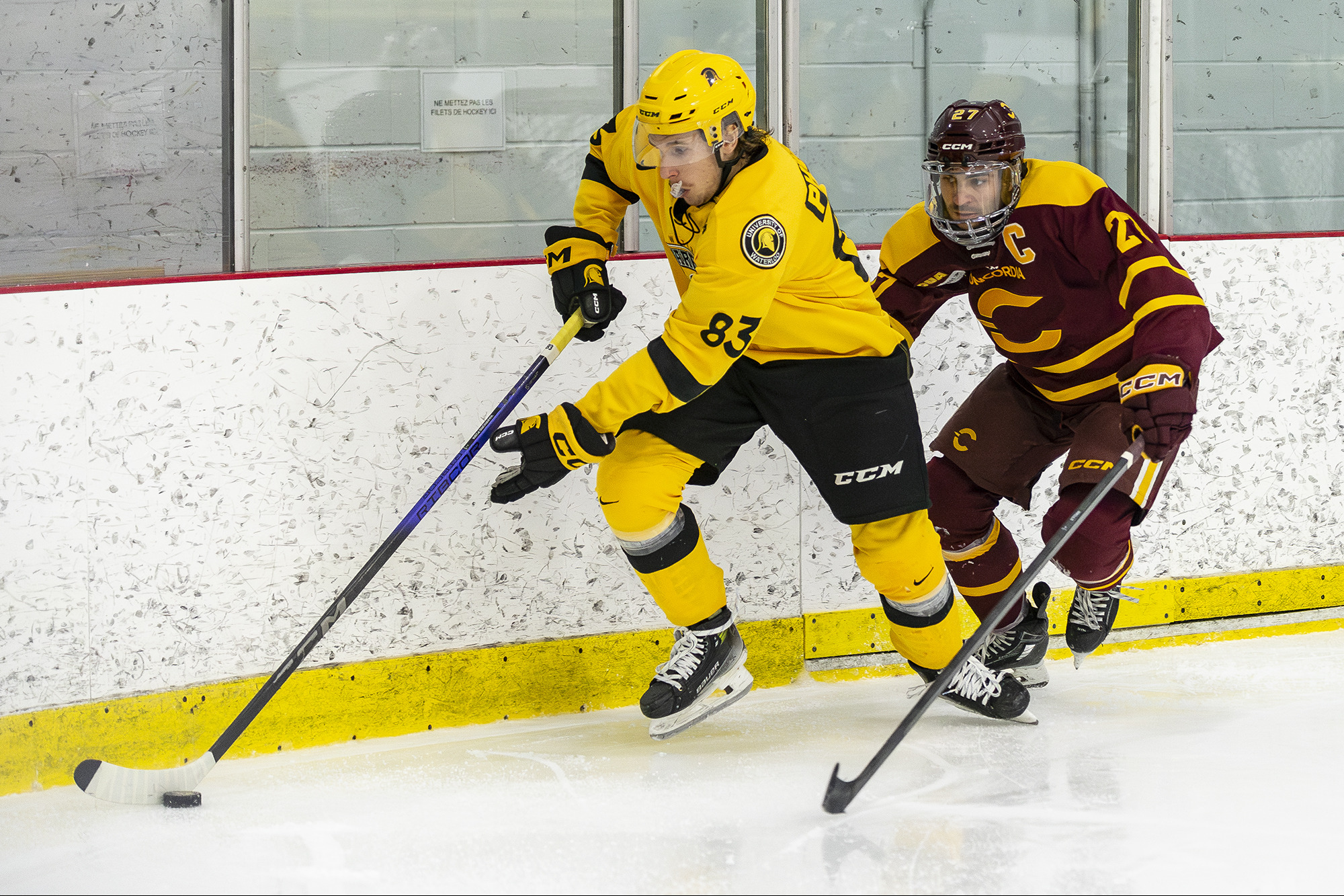 Jack Phibbs of the Waterloo Warriors battles Gabriel Proulx of the Concordia Stingers at Ed Meagher Arena in Montreal on January 11, 2025 | Photo: Kieron Yates