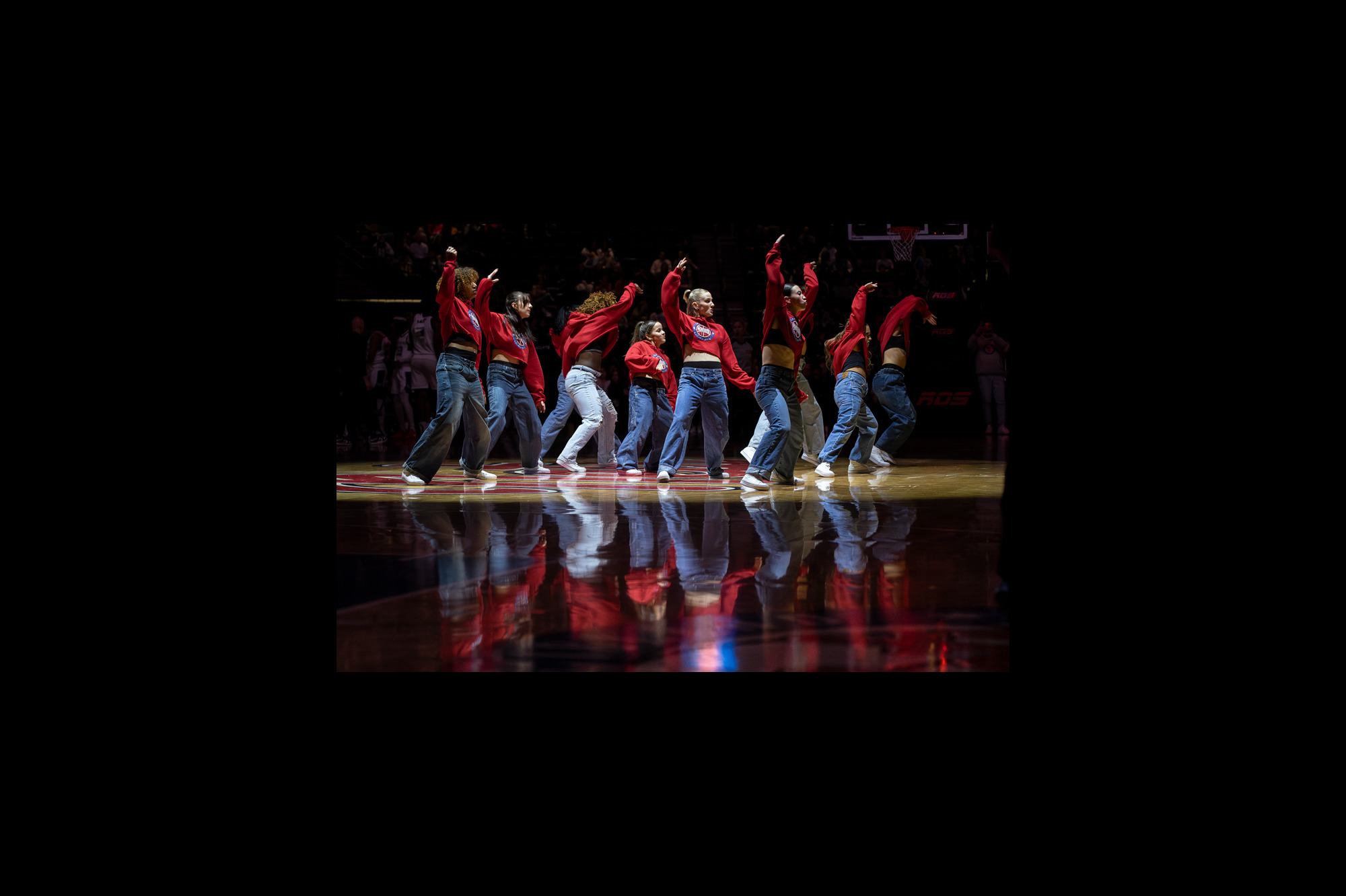 The Long Island Nets dance pack perform at Place Bell on February 5, 2025. | photo: Kieron Yates