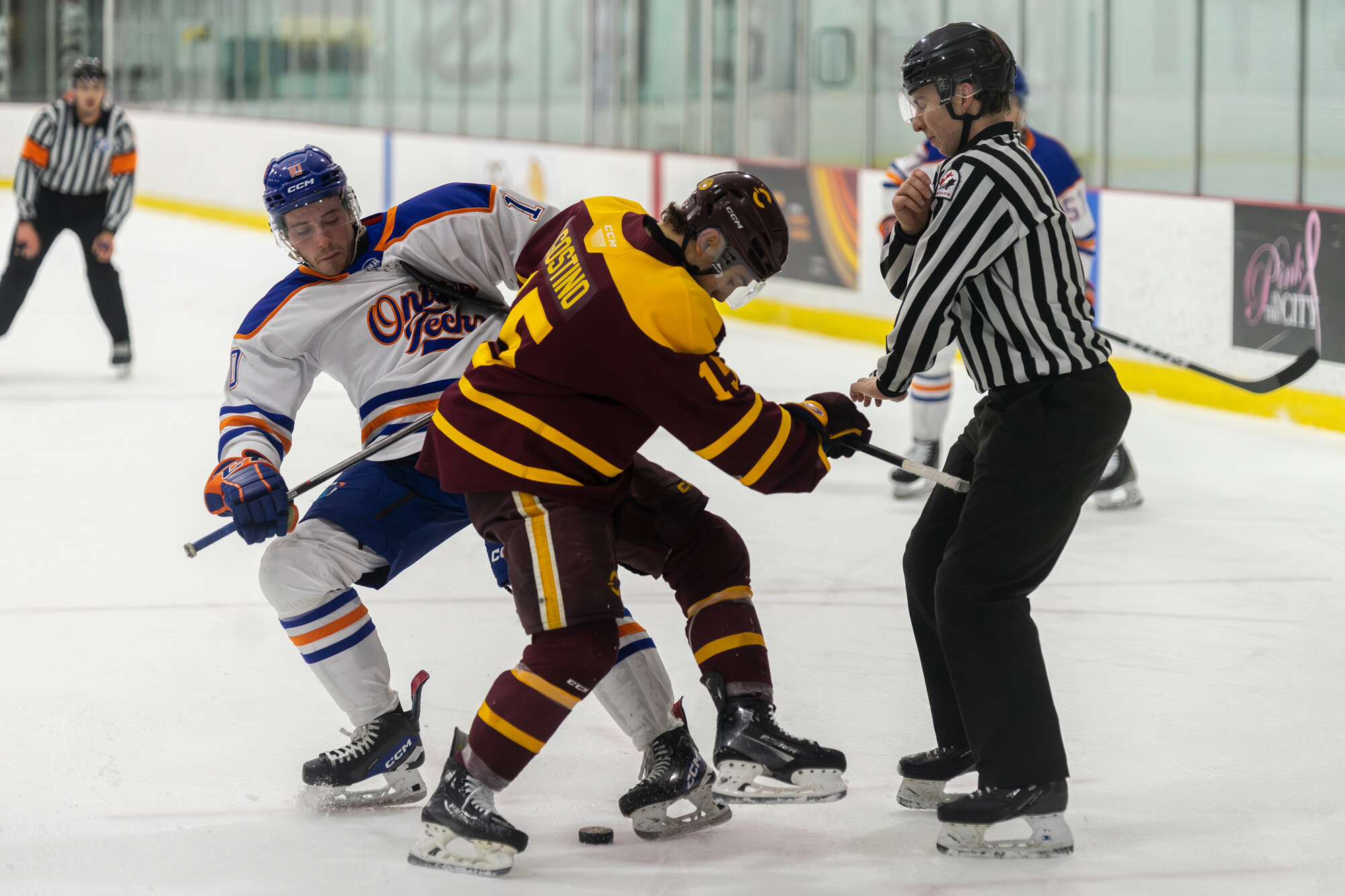 Concordia Stingers' Daniel Agostino and Ontario Tech's Dustin Hutton fight for the puck at Ed Meagher Arena on February 7, 2025 | Photo: Kieron Yates