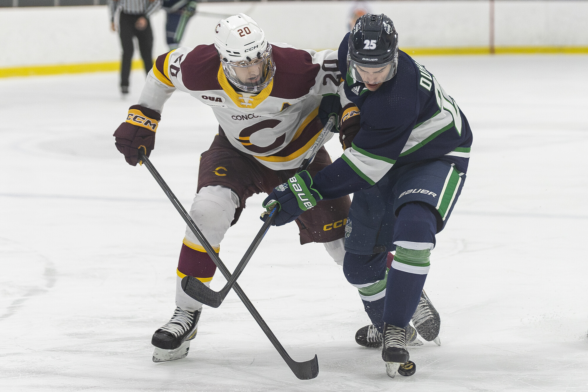 Simon Lavigne of the Concordia Stingers battles Jeremy Duhamel of the Nipissing Lakers at Ed Meagher Arena on December 1, 2024 | Photo: Kieron Yates